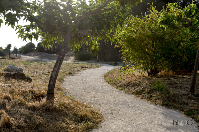 PARCOURS SPORTIF CAMPUS - LA GARDE - BLOC PAYSAGE