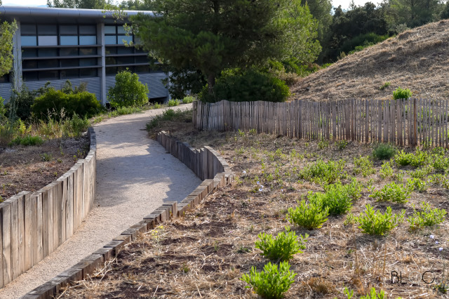 PARCOURS SPORTIF CAMPUS - LA GARDE - BLOC PAYSAGE