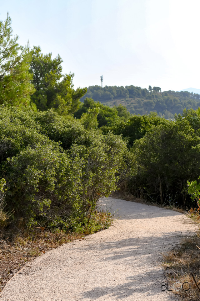 PARCOURS SPORTIF CAMPUS - LA GARDE - BLOC PAYSAGE